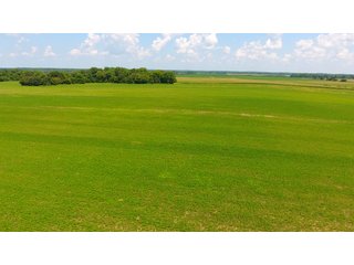 Property photo 6 - FARMLAND AUCTION - 240+/- ACRES IN 3 TRACTS IN JEFFERSON COUNTY, ILLINOIS